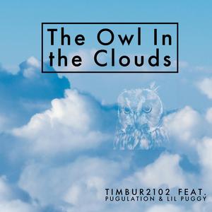 The Owl in the Clouds (feat. pugulation & lil Puggy)