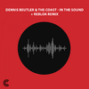 Dennis Beutler - In The Sound