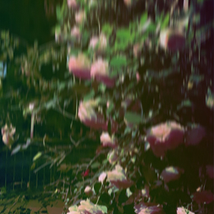 星空下的梦