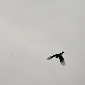 调色盘（Prod By 9Zi）