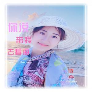你说带我去看海_贺燕