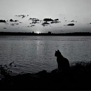 暖一杯茶（DJ小頣 remix）