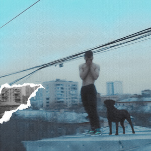 Собака с глазами девчонки