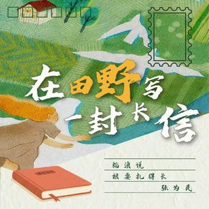 在田野写一封长信 伴奏