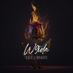 W9ida