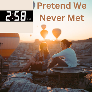 Pretend We Never Met