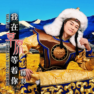 我在草原等着你