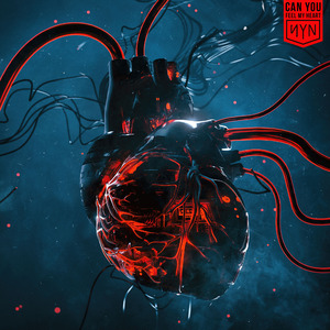 Can You Feel My Heart (SYN Flip)