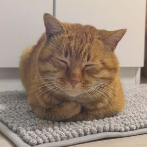 褪色余温
