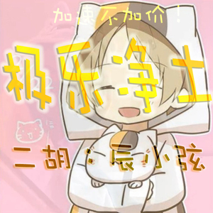 【极乐净土】二胡版