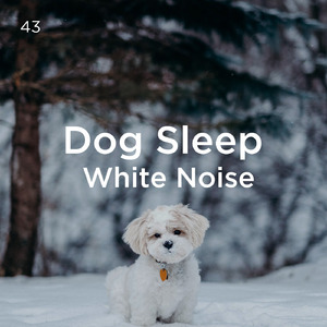 아기 수면을위한 백색 소음