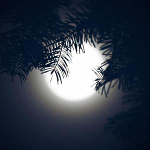 Post Malone-Congratulations（Lofi Remix）（Lil SEVEN$ remix）