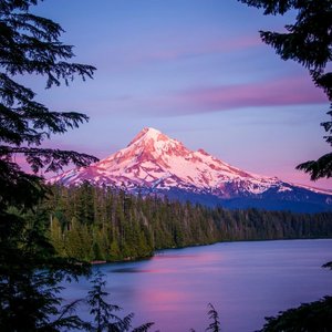 只想和你一起看电影