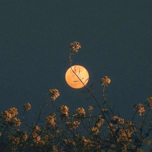 Free Just relax Piano Beat - “sometimes”