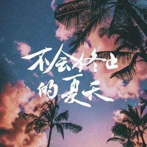 不会终止的夏天