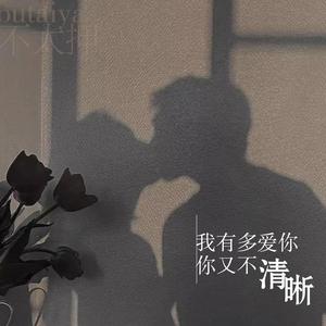 我有多爱你 你又不清晰