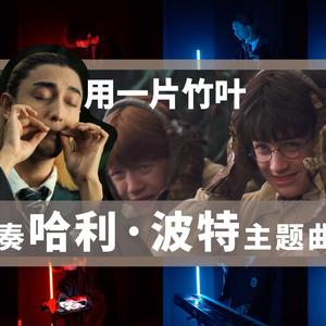 Hedwig's Theme（逃离城市Remix）