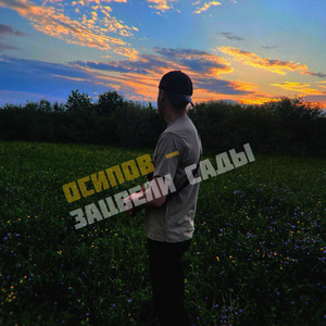 Зацвели сады