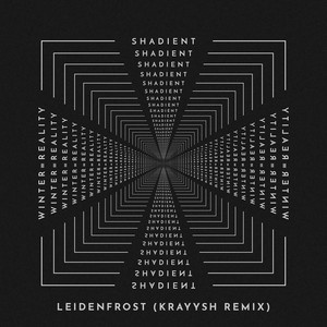 Leidenfrost (Krayysh Remix)