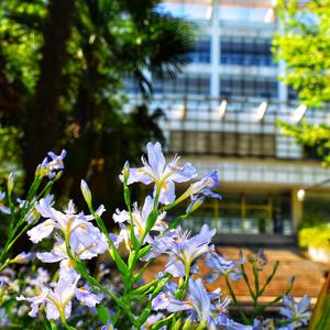 写在10月的生日歌