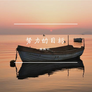 努力的目标