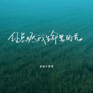 你点燃我生命里的光 (伴奏)