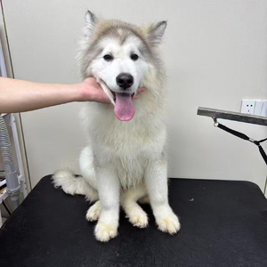 我和你有个约定