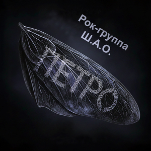Парус