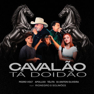 Cavalão Tá Doidão (Remix)