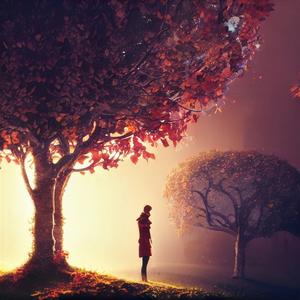 寂寞是你给的苦 (中四版)