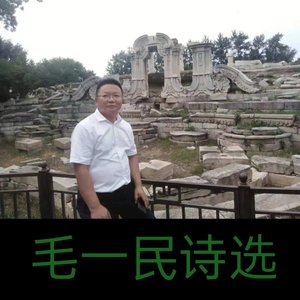 长眼睛的树（毛一民）