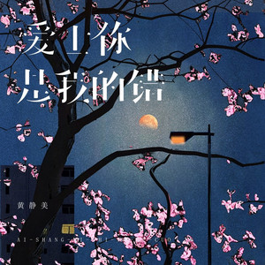 爱上你是我的错