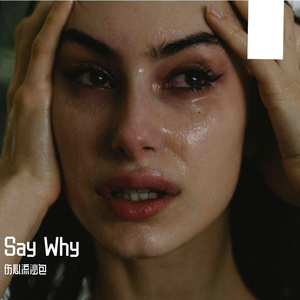 Say Why