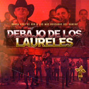 debajo de los laureles (En Vivo)