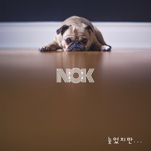 늦었지만