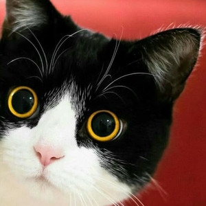 And To Those I Love, Thanks For Sticking Around (slowed)