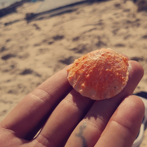 Jasmin's Lullaby (feat. Jasmin Hallett) (Live)