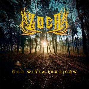 Oto widza Praojców