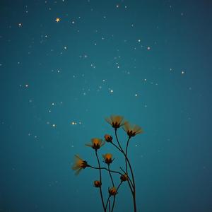 इश्क़ में तेरा नाम by @exhilaratingbeatbox1813