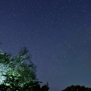 星の夜