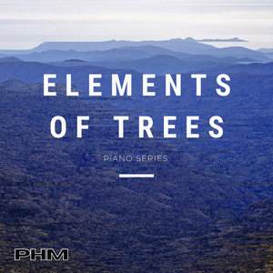 In the Hollows of My Branches