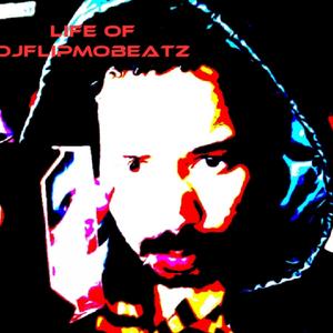 The Life of Djflipmobeatz