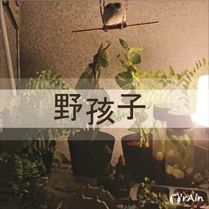 野孩子 (鋼琴版)