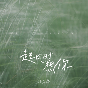 起风时想你