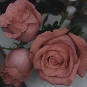 多累（prod.Yusei）