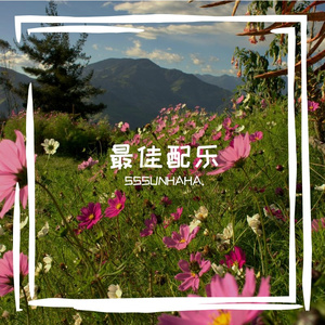 最佳配乐