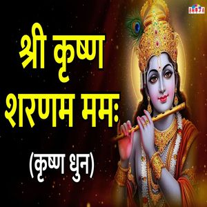 Shri Krishna Sharanam Mamah Krishna Dhun