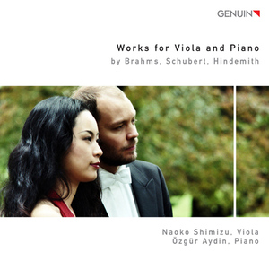 Arpeggione Sonata in A Minor, D. 821 (arr. for viola and piano):I. Allegro moderato