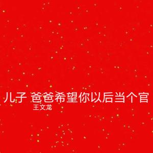 儿子 爸爸希望你以后当个官