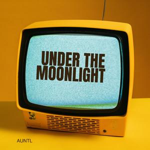 Under The Moonlight